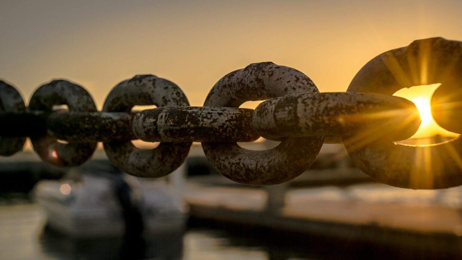From Cost Center to Value Driver: The Strategic Role of AI in Supply Chain Transformation